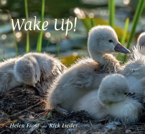 Wake Up! - Hardcover