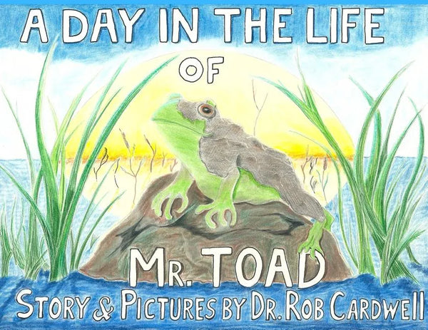 A Day in the Life of Mr. Toad - Paperback