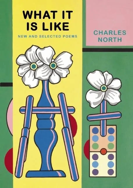What It Is Like: New and Selected Poems - Paperback