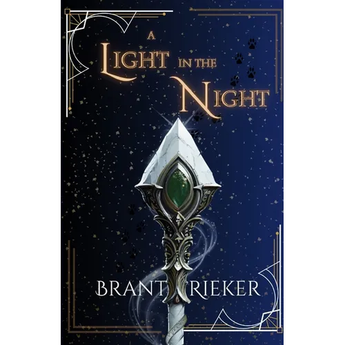 A Light in the Night - Paperback