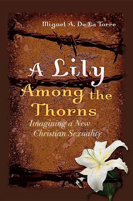 A Lily Among the Thorns: Imagining a New Christian Sexuality - Paperback