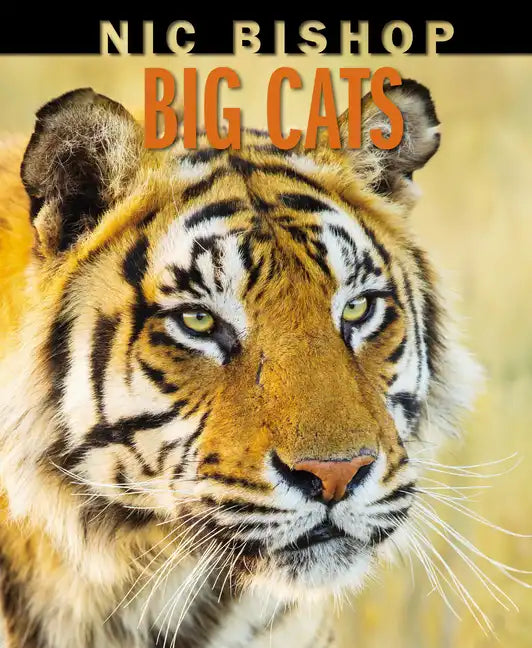Nic Bishop Big Cats - Hardcover