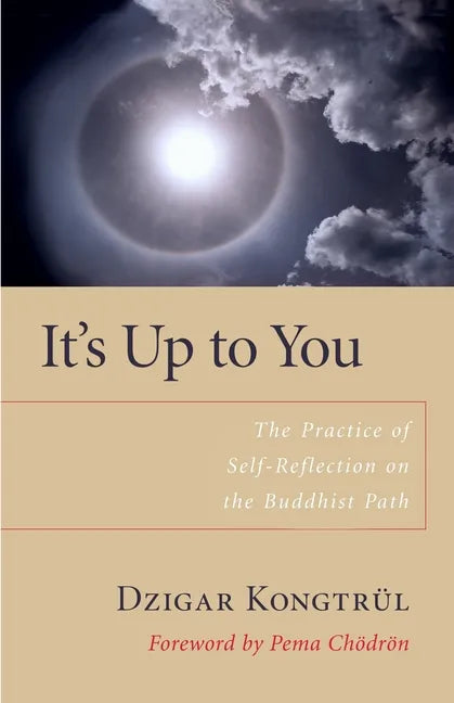 It's Up to You: The Practice of Self-Reflection on the Buddhist Path - Paperback