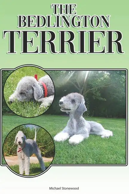 The Bedlington Terrier: A Complete and Comprehensive Beginners Guide To: Buying, Owning, Health, Grooming, Training, Obedience, Understanding - Paperback