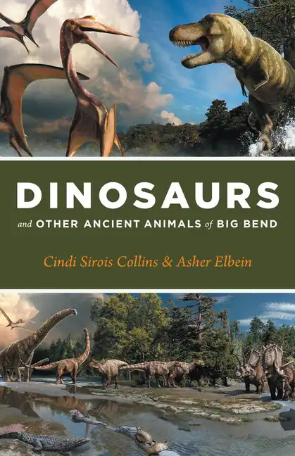 Dinosaurs and Other Ancient Animals of Big Bend - Paperback