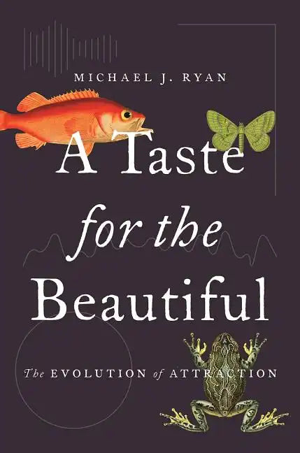 A Taste for the Beautiful: The Evolution of Attraction - Paperback