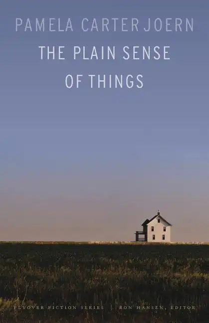 The Plain Sense of Things - Paperback