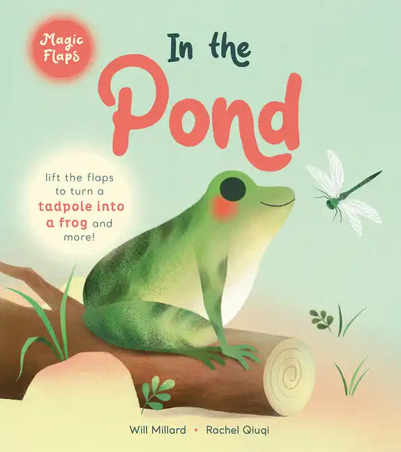In the Pond: A Magic Flaps Book - Board Book