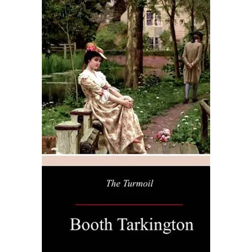 The Turmoil - Paperback
