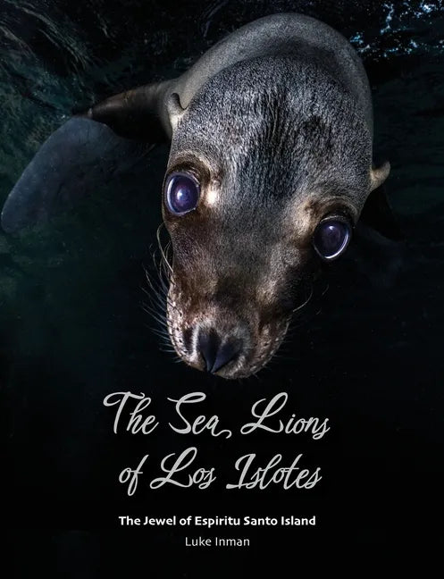 The Sea Lions of Los Islotes: The Jewel of Espíritu Santo Island - Paperback