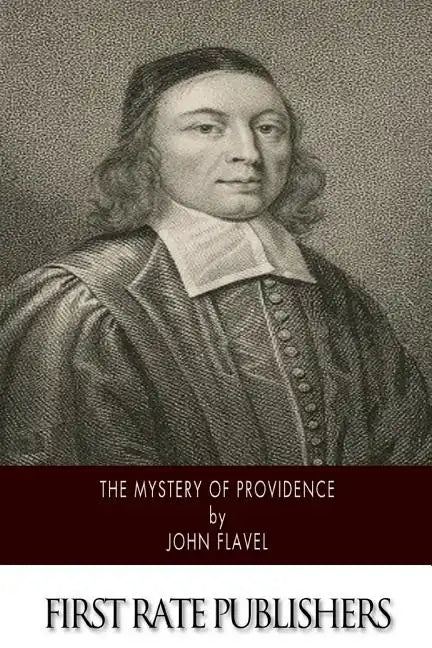 The Mystery of Providence - Paperback