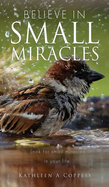 Believe in Small Miracles: Look for small miracles in your life. - Hardcover