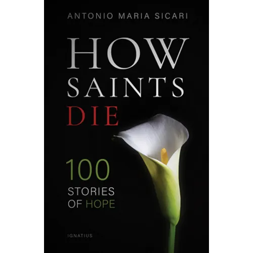 How Saints Die: 100 Stories of Hope - Paperback