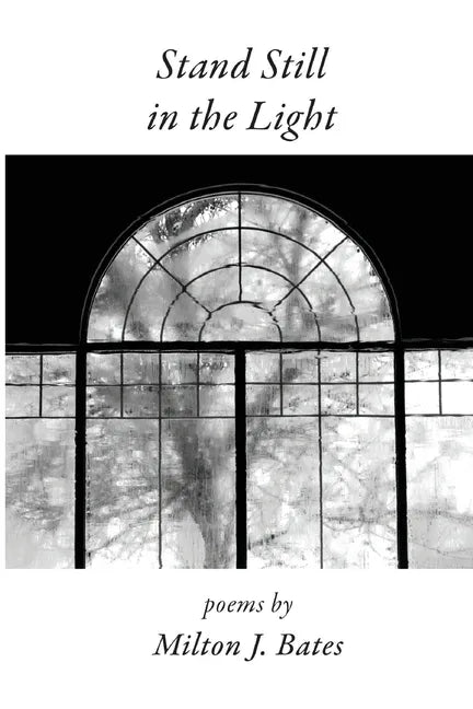 Stand Still in the Light - Paperback