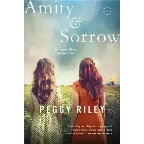 Amity & Sorrow - Paperback