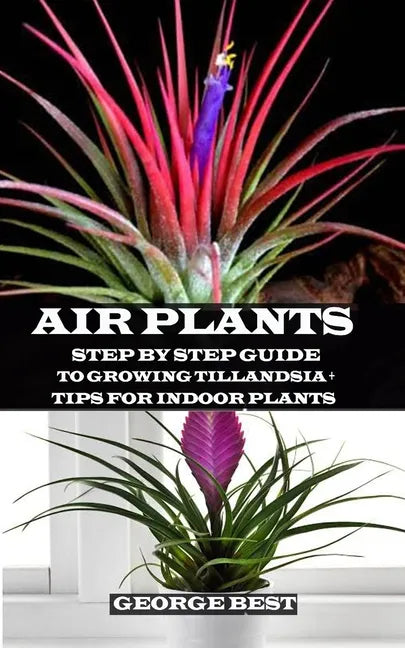 Air Plant: Step by Step Guide to Growing Tillandsia + Tips for Indoor Plants - Paperback