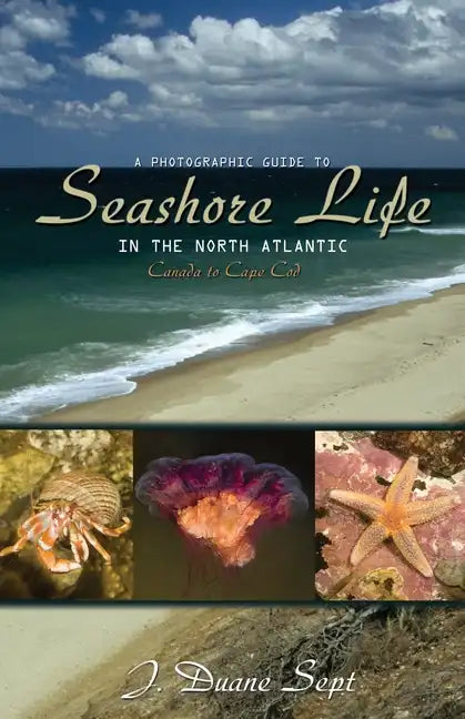 A Photographic Guide to Seashore Life in the North Atlantic: Canada to Cape Cod - Paperback