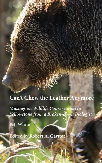 Can't Chew the Leather Anymore: Musings on Wildlife Conservation in Yellowstone from a Broken-down Biologist - Paperback