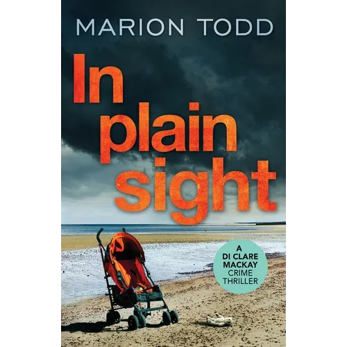 In Plain Sight - Paperback