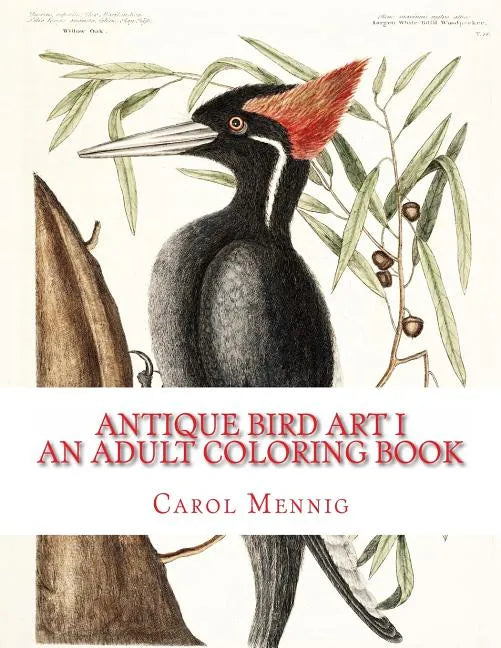 Antique Bird Art I: An Adult Coloring Book - Paperback