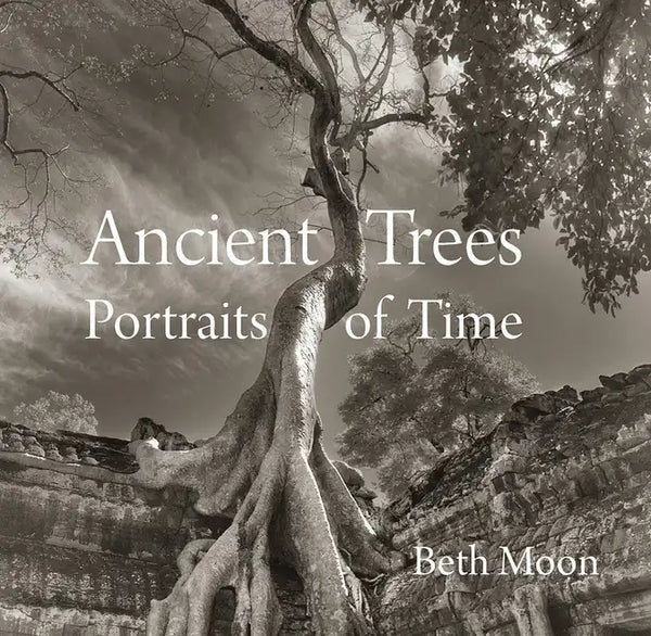 Ancient Trees: Portraits of Time - Hardcover