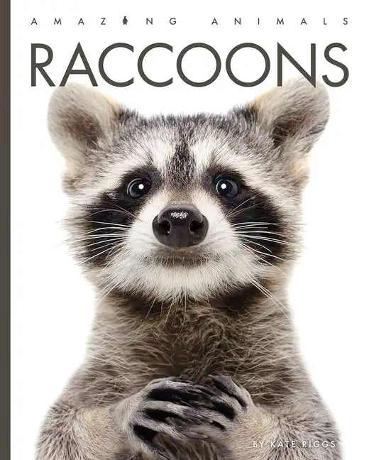 Raccoons - Paperback