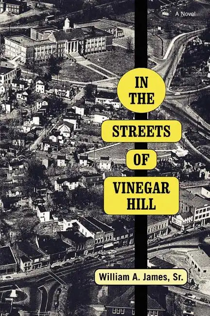 In The Streets Of Vinegar Hill - Paperback