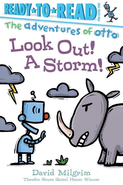 Look Out! a Storm!: Ready-To-Read Pre-Level 1 - Paperback