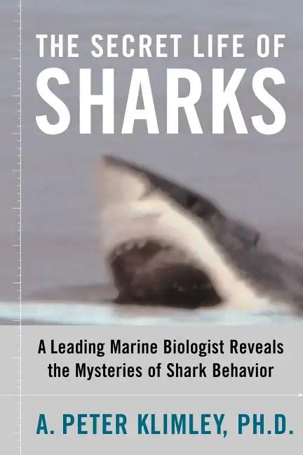 The Secret Life of Sharks: A Leading Marine Biologist Reveals the Mysteries of Shark Behavior - Paperback