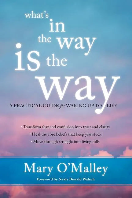 What's in the Way Is the Way: A Practical Guide for Waking Up to Life - Paperback