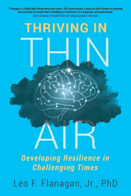 Thriving In Thin Air: Developing Resilience In Challenging Times - Paperback