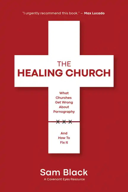 The Healing Church: What Churches Get Wrong about Pornography and How to Fix It - Paperback