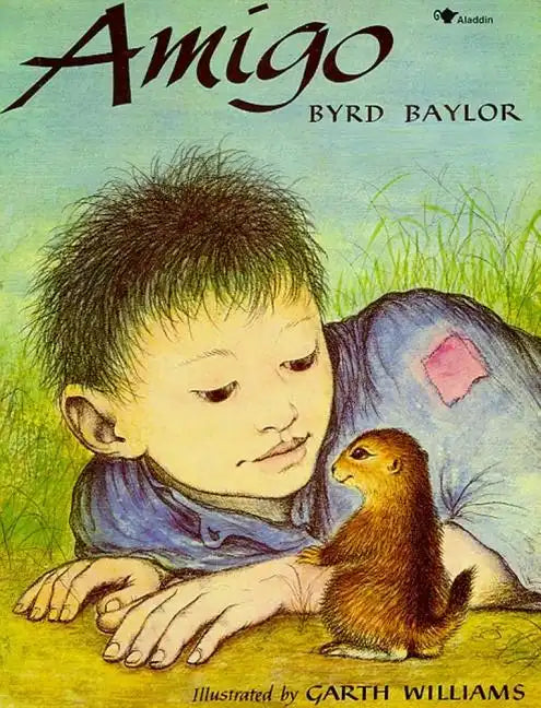 Amigo - Paperback