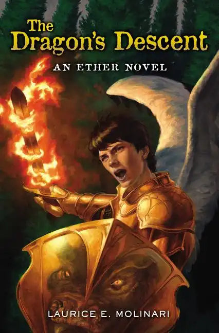 The Dragon's Descent - Paperback