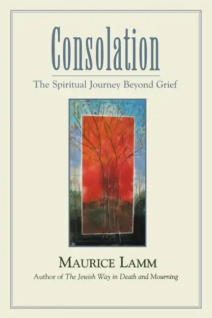 Consolation: The Spiritual Journey Beyond Grief - Paperback