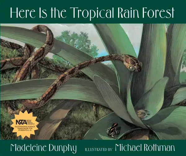 Here Is the Tropical Rain Forest - Hardcover