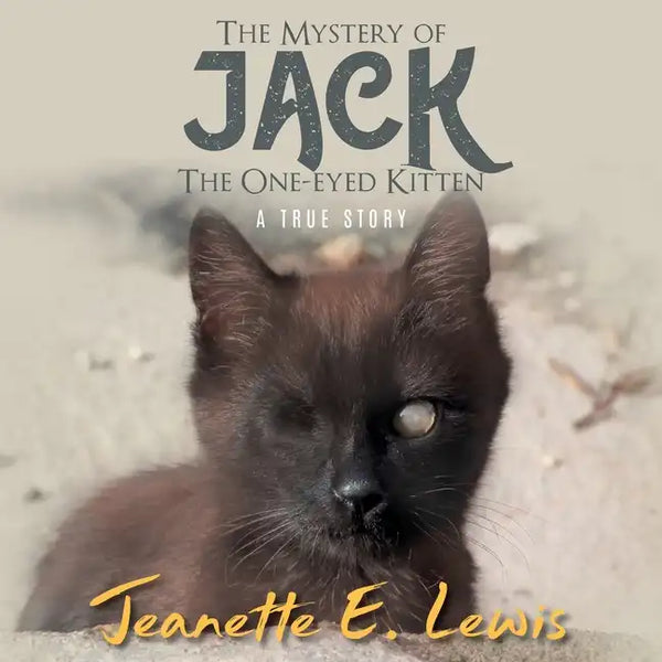 The Mystery of Jack, the One-Eyed Kitten: A True Story - Paperback
