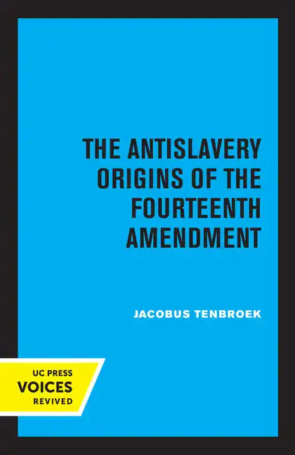 The Antislavery Origins of the Fourteenth Amendment - Paperback