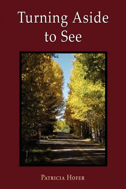 Turning Aside to See - Paperback