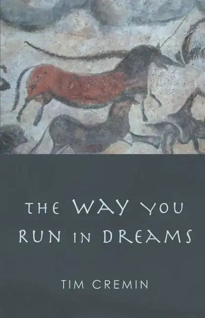 The Way You Run in Dreams - Paperback