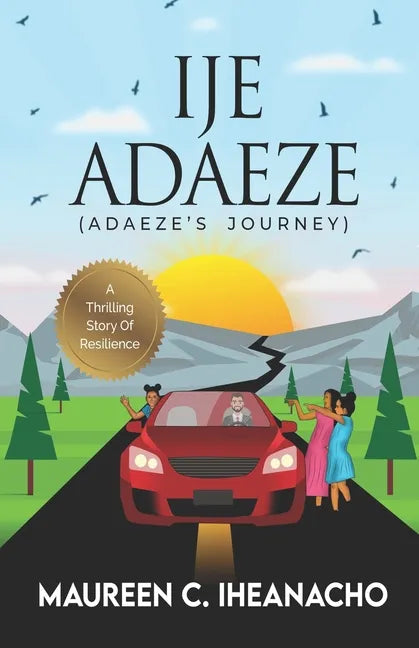 Ije Adaeze: A thrilling story of resilience - Paperback