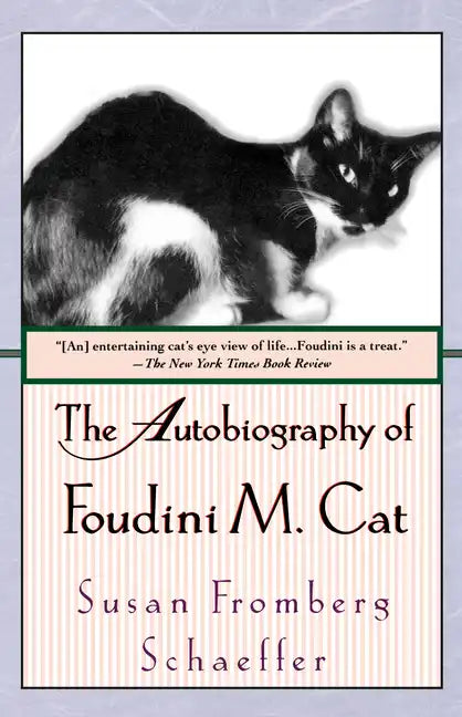 The Autobiography of Foudini M. Cat - Paperback