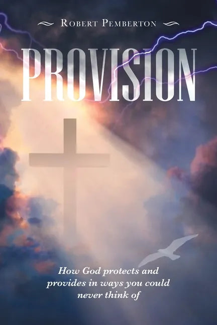 Provision: How God Protects and Provides in Ways You Could Never Think Of - Paperback