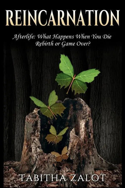 Reincarnation: Afterlife: Life After Death - What Happens When You Die? Rebirth or Game Over? - Paperback