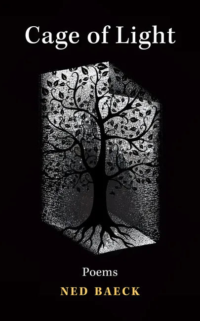 Cage of Light: Volume 295 - Paperback
