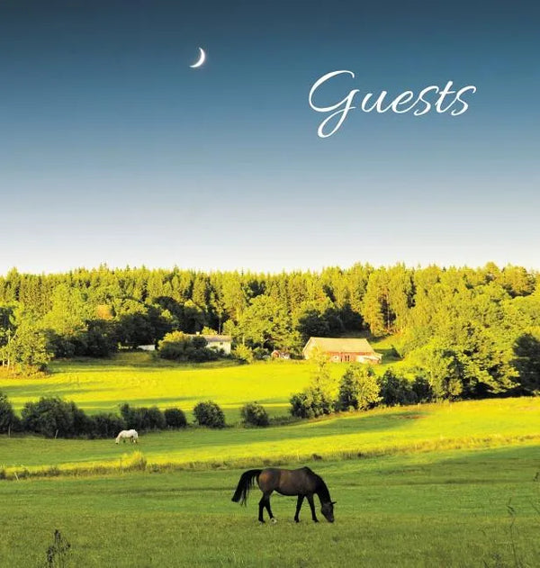 GUEST BOOK for Guest House, Airbnb, Bed & Breakfast, Vacation Home, Retreat Centre: HARDCOVER Visitors Book, Guest Comments Book, Vacation Home Guest - Hardcover
