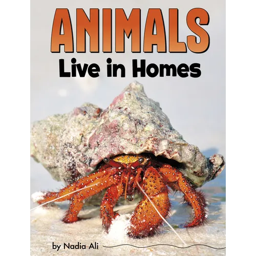 Animals Live in Homes - Hardcover