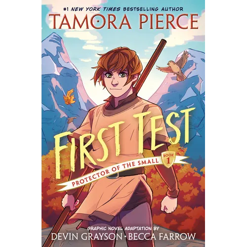 First Test Graphic Novel: (A Graphic Novel) - Hardcover