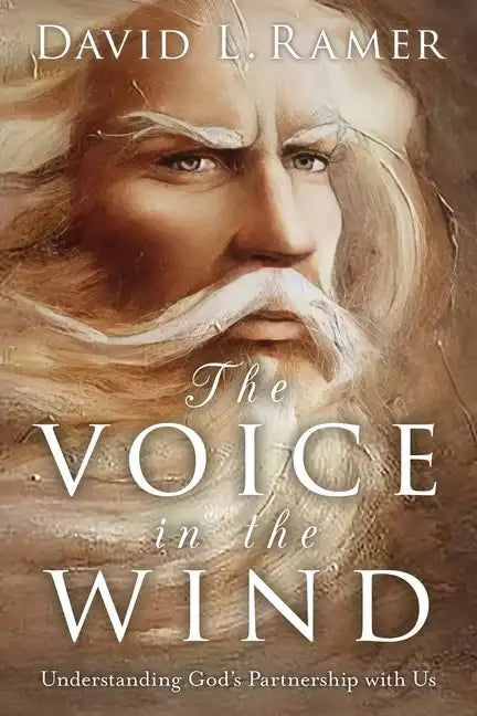The Voice in the Wind, Understanding God's Partnership with Us - Paperback