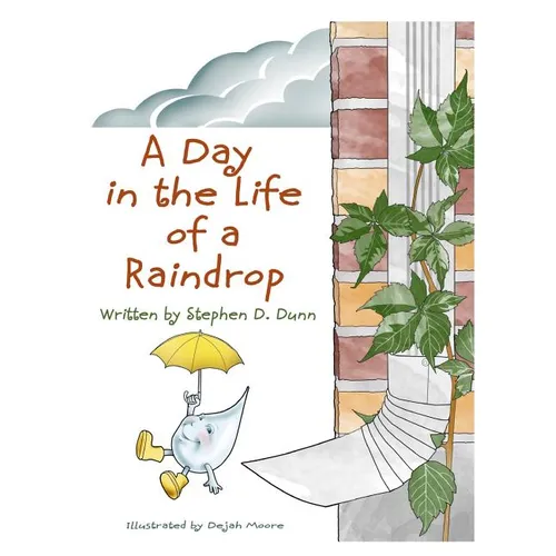 A Day In The Life Of A Raindrop - Paperback